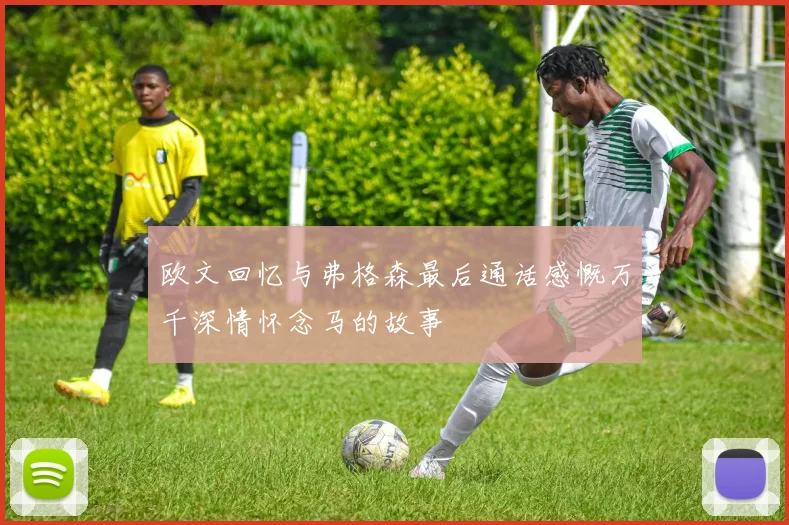 欧文回忆与弗格森最后通话感慨万千深情怀念马的故事