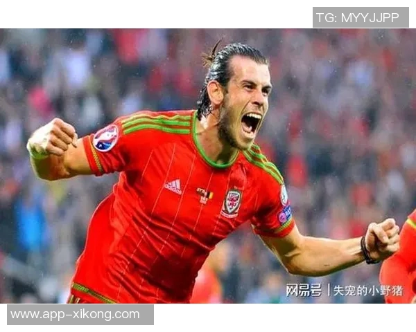 贝尔谈退役后财务危机积极投资保值让他安心 贝尔谈退役后财务危机积极投资保值让他安心