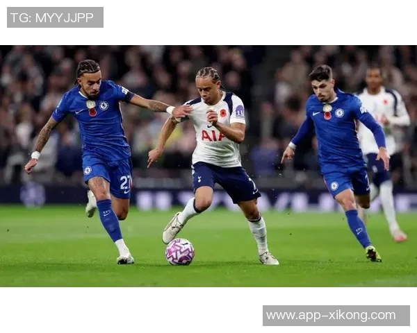 英媒透露本坦库尔将续约热刺同时球队有意买断帕利尼亚 英媒透露本坦库尔将续约热刺同时球队有意买断帕利尼亚